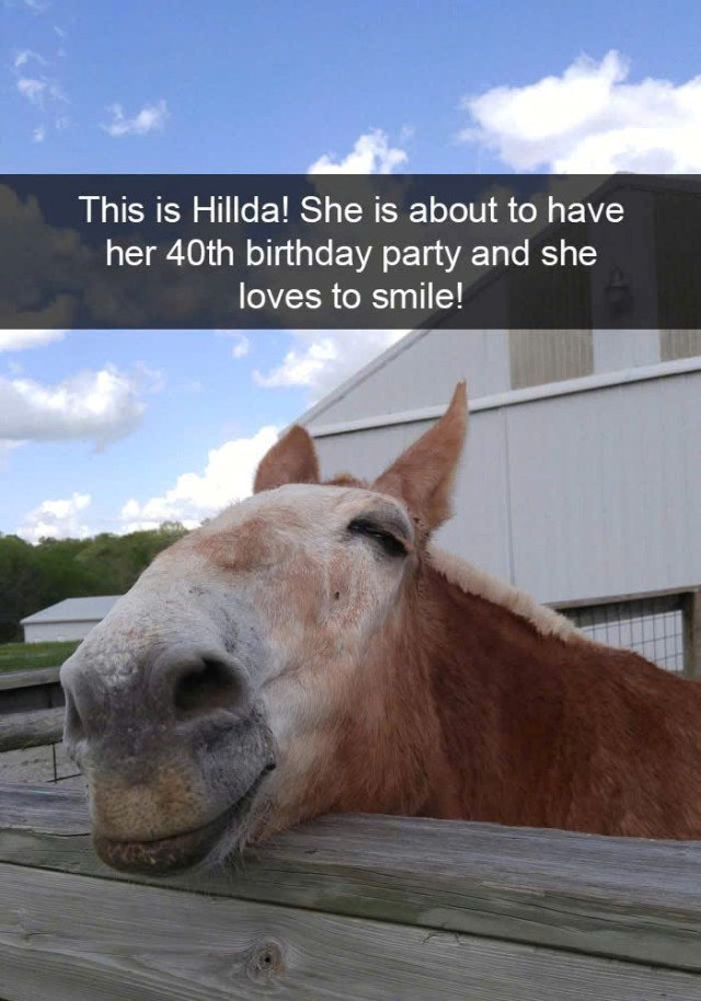 This is Hillda! She is about to have her 40th birthday party and she loves to smile!