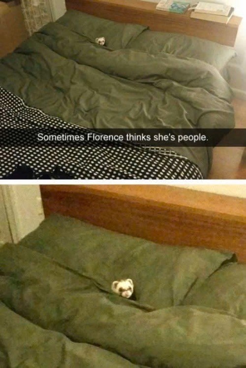 Sometimes Florence thinks she's people.