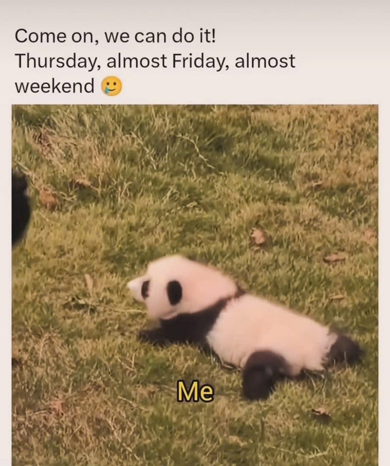 Come on, we can do it! Thursday, almost Friday, almost weekend Me