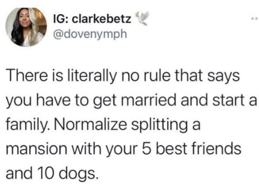 IG: clarkebetz @dovenymph There is literally no rule that says you have to get married and start a family. Normalize splitting a mansion with your 5 best friends and 10 dogs.