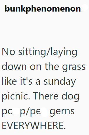 bunkphenomenon No sitting/laying down on the grass like it's a sunday picnic. There dog pc p/pe gerns EVERYWHERE.