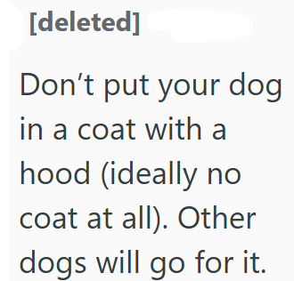 [deleted] Don't put your dog in a coat with a hood (ideally no coat at all). Other dogs will go for it.