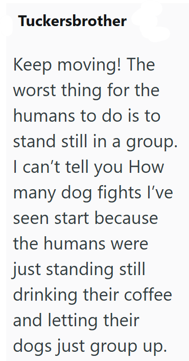 Tuckersbrother Keep moving! The worst thing for the humans to do is to stand still in a group. I can't tell you How many dog fights I've seen start because the humans were just standing still drinking their coffee and letting their dogs just group up.