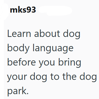 mks93 Learn about dog body language before you bring your dog to the dog park.