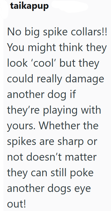 taikapup No big spike collars!! You might think they look 'cool' but they could really damage another dog if they're playing with yours. Whether the spikes are sharp or not doesn't matter they can still poke another dogs eye out!