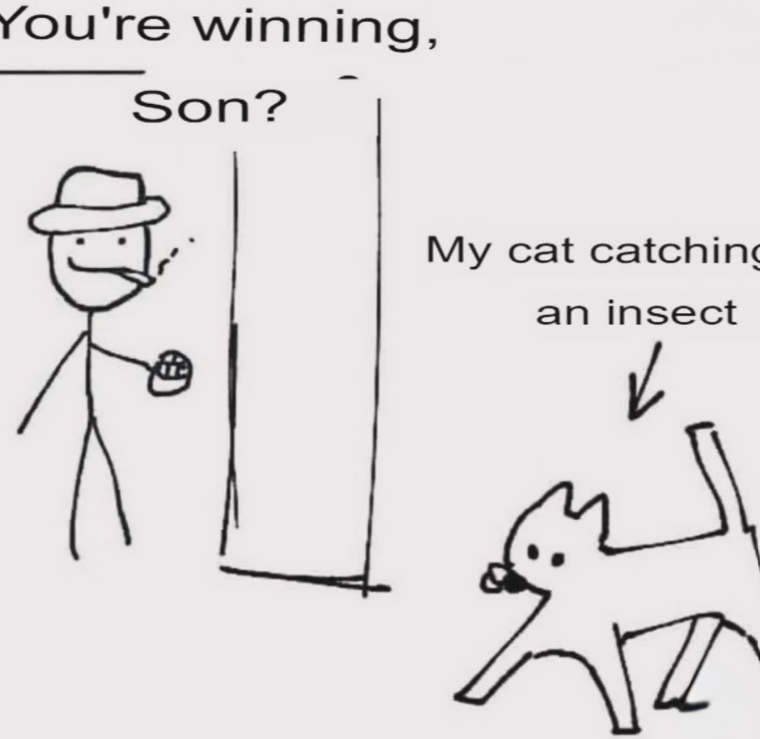 You're winning, Son? My cat catching an insect ✓