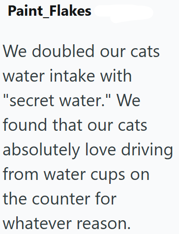 Paint_Flakes We doubled our cats water intake with "secret water." We found that our cats absolutely love driving from water cups on the counter for whatever reason.