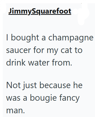 JimmySquarefoot I bought a champagne saucer for my cat to drink water from. Not just because he was a bougie fancy man.