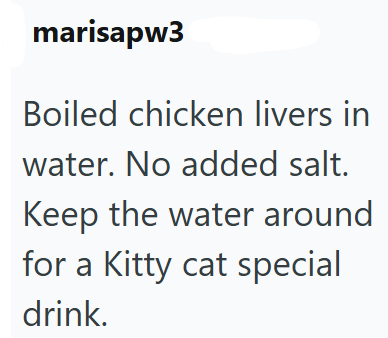 marisapw3 Boiled chicken livers in water. No added salt. Keep the water around for a Kitty cat special drink.