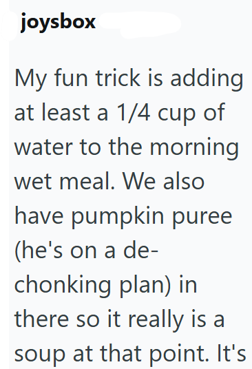 joysbox My fun trick is adding at least a 1/4 cup of water to the morning wet meal. We also have pumpkin puree (he's on a de- chonking plan) in there so it really is a soup at that point. It's