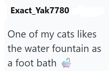 Exact Yak7780 One of my cats likes the water fountain as a foot bath