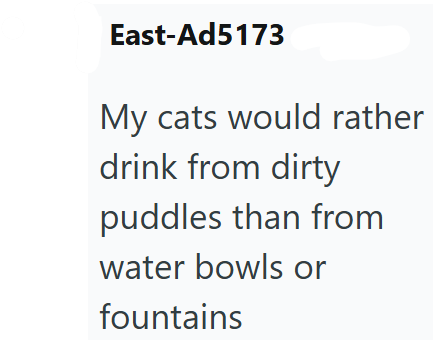 East-Ad5173 My cats would rather drink from dirty puddles than from water bowls or fountains