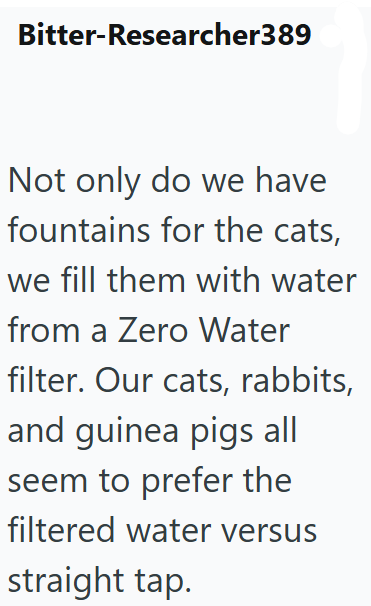 Bitter-Researcher389 Not only do we have fountains for the cats, we fill them with water from a Zero Water filter. Our cats, rabbits, and guinea pigs all seem to prefer the filtered water versus straight tap.