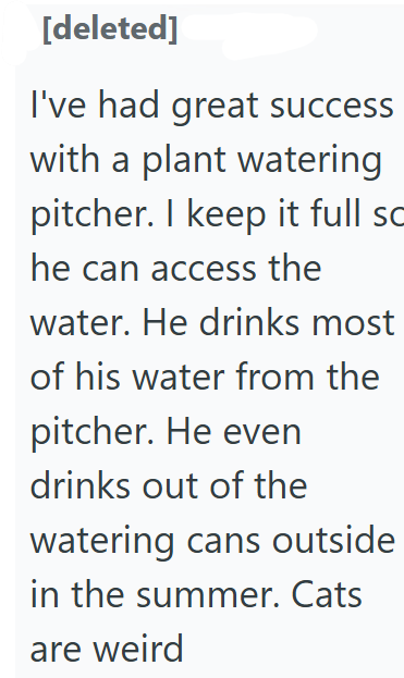 [deleted] I've had great success with a plant watering pitcher. I keep it full sc he can access the water. He drinks most of his water from the pitcher. He even drinks out of the watering cans outside in the summer. Cats are weird