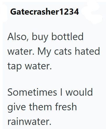Gatecrasher1234 Also, buy bottled water. My cats hated tap water. Sometimes I would give them fresh rainwater.