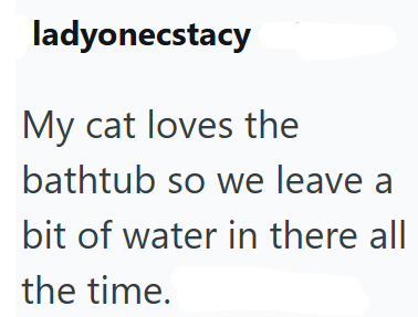 ladyonecstacy My cat loves the bathtub so we leave a bit of water in there all the time.