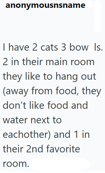 anonymousnsname I have 2 cats 3 bow Is. 2 in their main room they like to hang out (away from food, they don't like food and water next to eachother) and 1 in their 2nd favorite room.