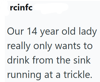 rcinfc Our 14 year old lady really only wants to drink from the sink running at a trickle.
