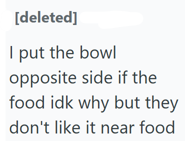 [deleted] I put the bowl opposite side if the food idk why but they don't like it near food
