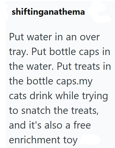 shiftinganathema Put water in an over tray. Put bottle caps in the water. Put treats in the bottle caps.my cats drink while trying to snatch the treats, and it's also a free enrichment toy