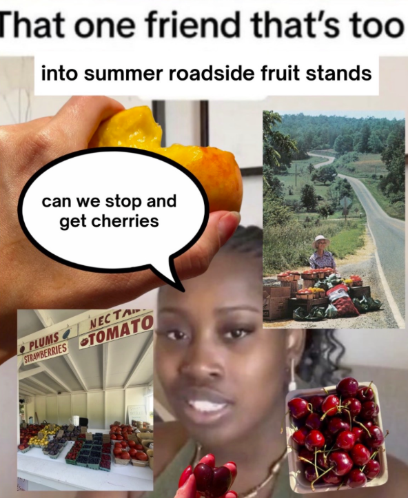 That one friend that's too into summer roadside fruit stands can we stop and get cherries PLUMS STRAWBERRIES NECTA TOMATO