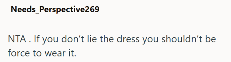 Needs Perspective269 NTA. If you don't lie the dress you shouldn't be force to wear it.