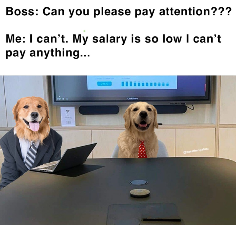 Boss: Can you please pay attention??? Me: I can't. My salary is so low I can't pay anything... 276 C ClickShare @passtherigatoni