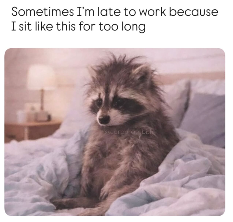 Sometimes I'm late to work because I sit like this for too long @corporatebish