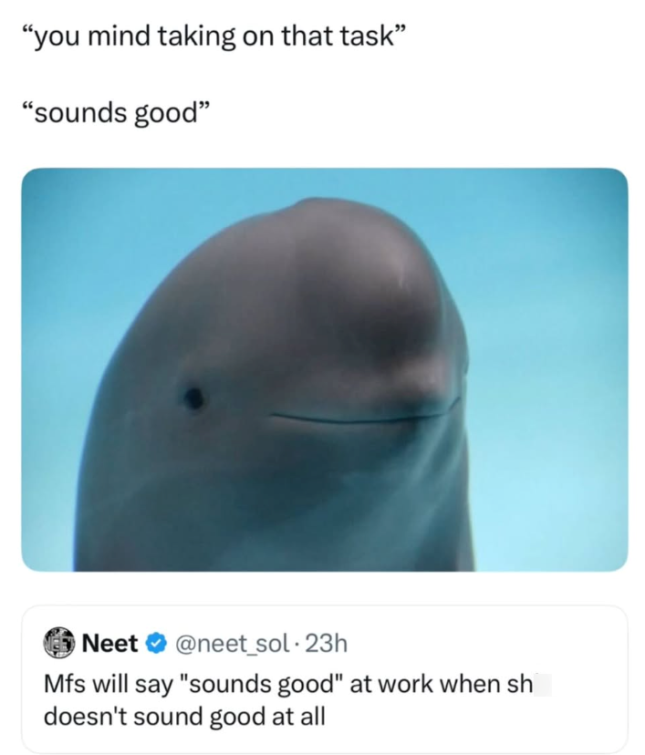 "you mind taking on that task" "sounds good" Neet @neet_sol 23h Mfs will say "sounds good" at work when sh doesn't sound good at all