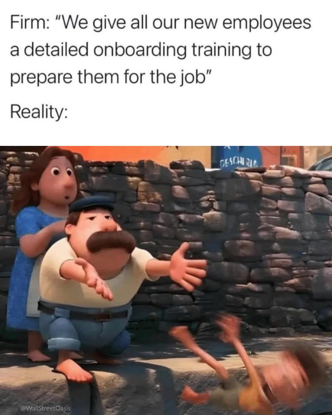 Firm: "We give all our new employees a detailed onboarding training to prepare them for the job" Reality: @WallStreetOasis DESCHIRIE