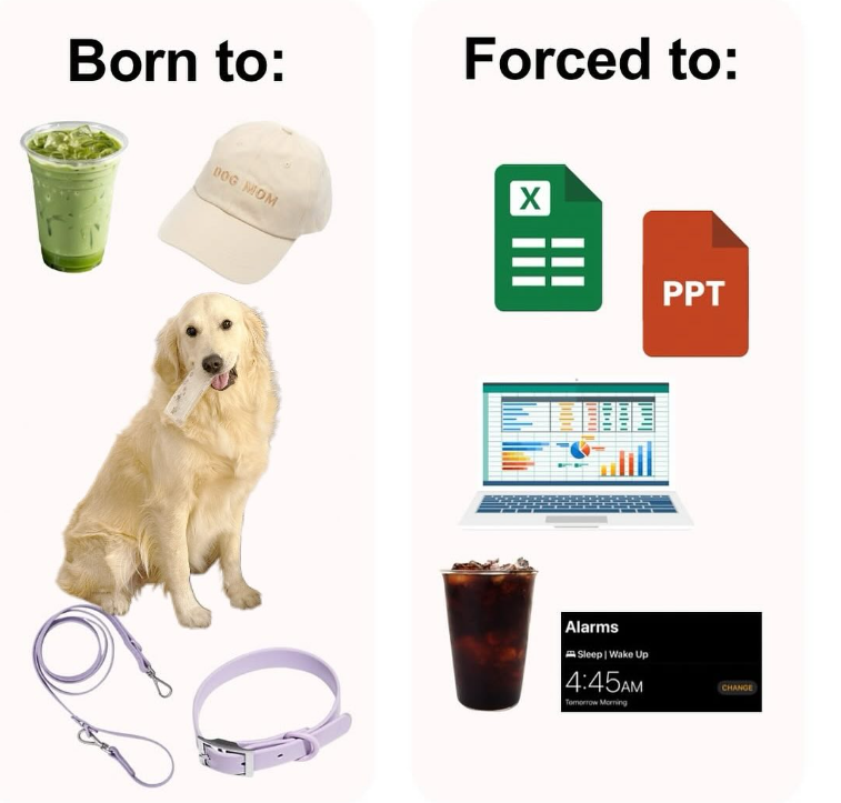 Born to: Forced to: DOG MOM X PPT Alarms Sleep | Wake Up 4:45AM Tomorrow Morning CHANGE