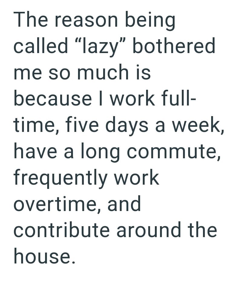 The reason being called "lazy" bothered me so much is because I work full- time, five days a week, have a long commute, frequently work overtime, and contribute around the house.