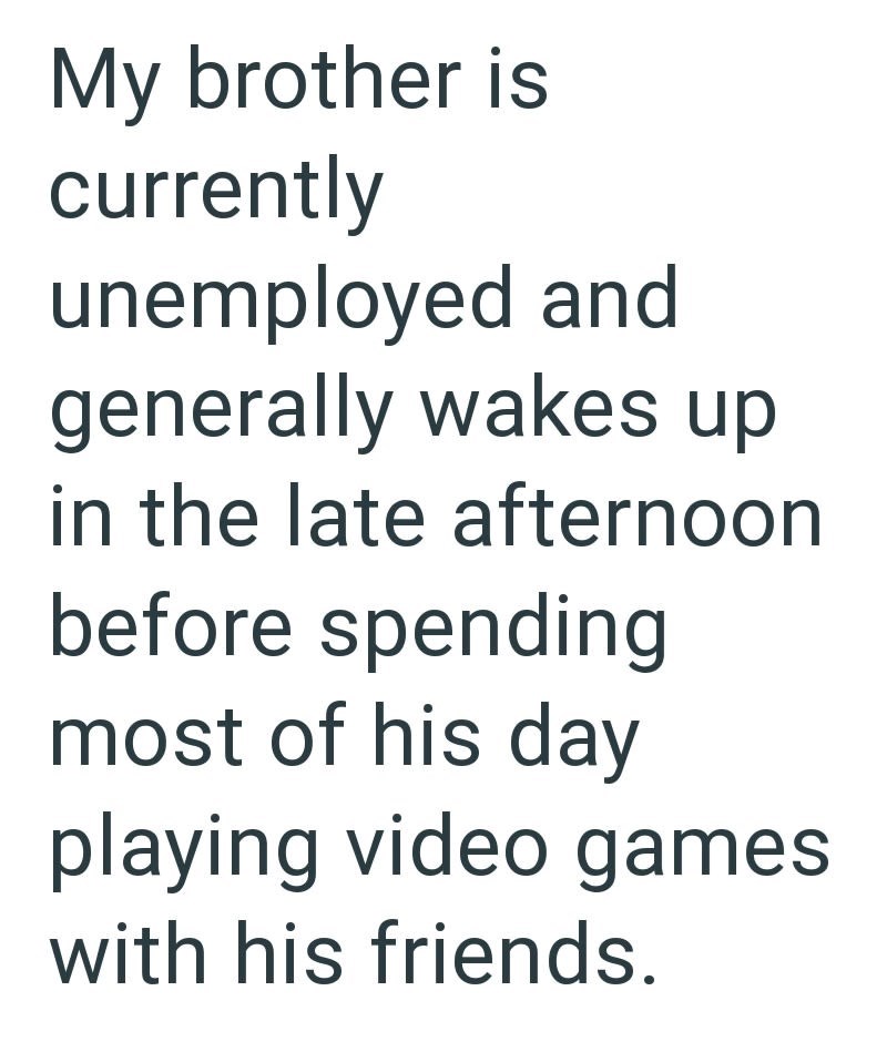 My brother is currently unemployed and generally wakes up in the late afternoon before spending most of his day playing video games with his friends.