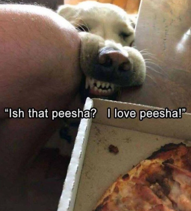N "Ish that peesha? I love peesha!"