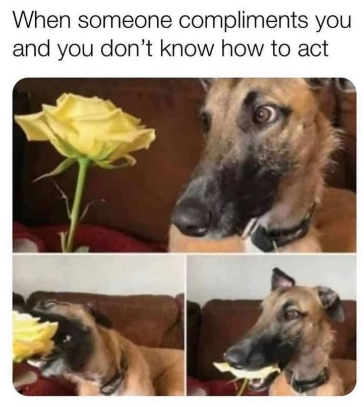 When someone compliments you and you don't know how to act