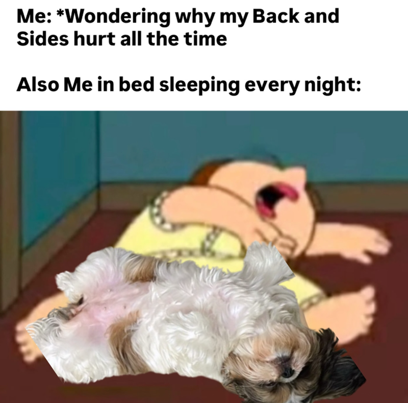 Me: *Wondering why my Back and Sides hurt all the time Also Me in bed sleeping every night: