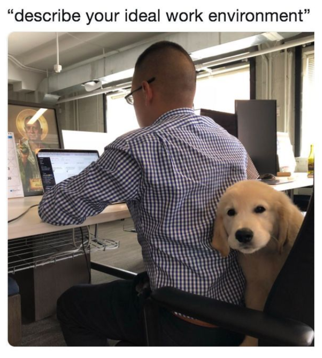 "describe your ideal work environment"
