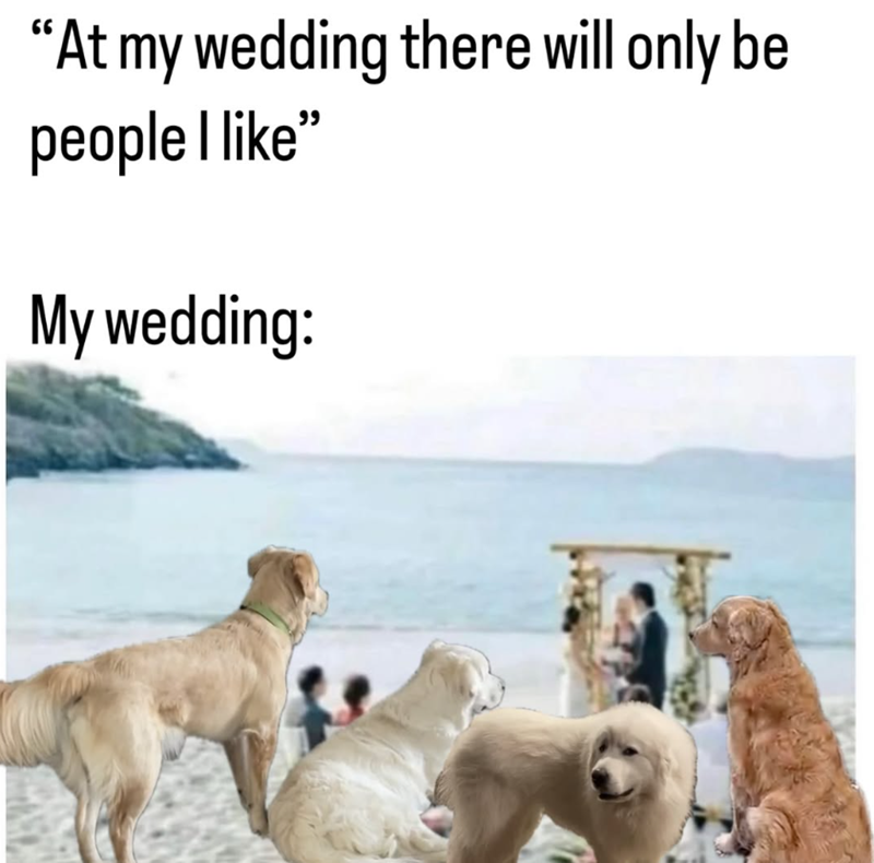 "At my wedding there will only be people I like" My wedding: