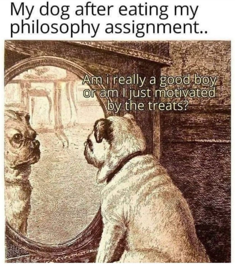 My dog after eating my philosophy assignment.. Am i really a good boy or am just motivated by the treats?