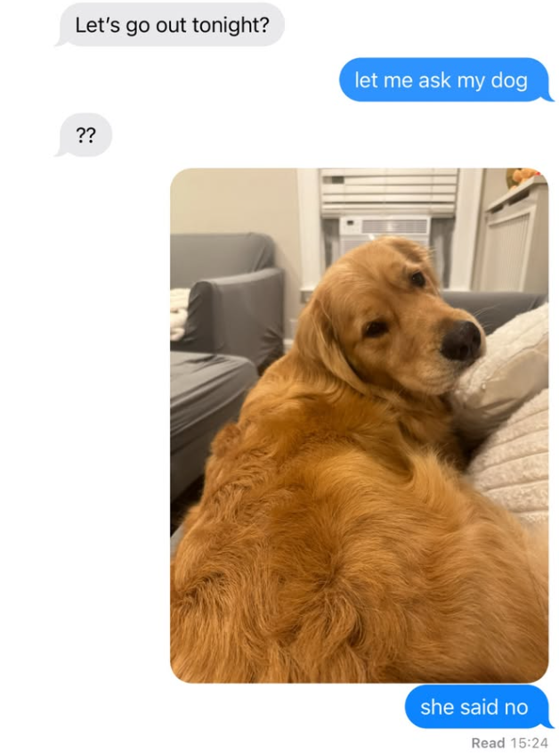 Let's go out tonight? let me ask my dog ?? she said no Read 15:24