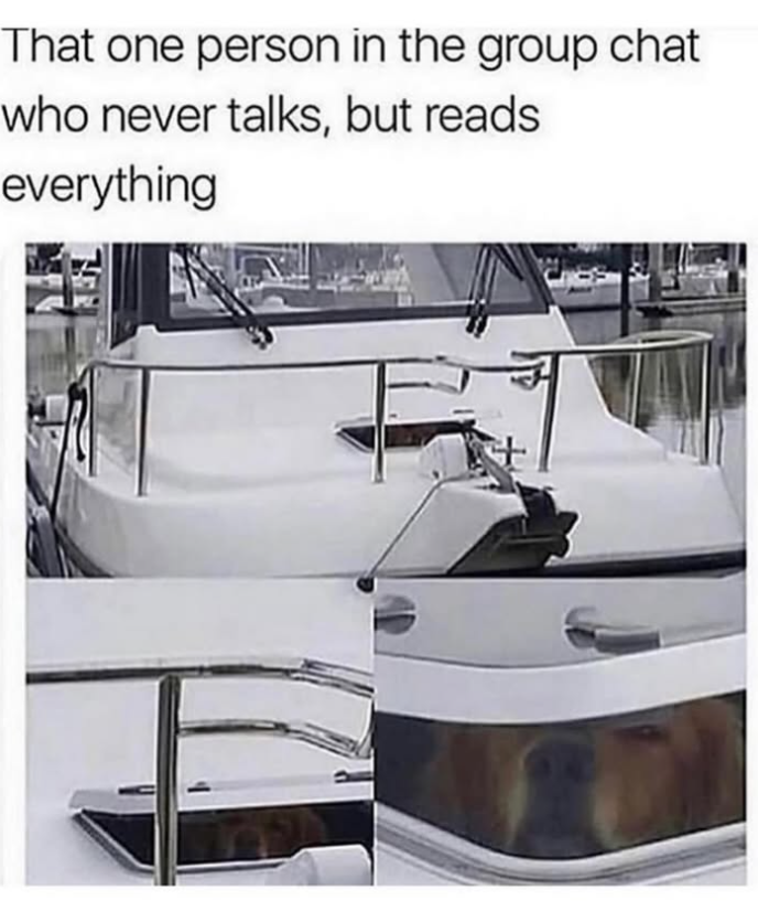 That one person in the group chat who never talks, but reads everything