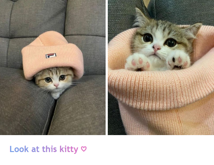 Look at this kitty ❤