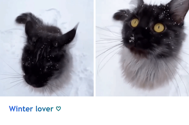 Winter lover ♡