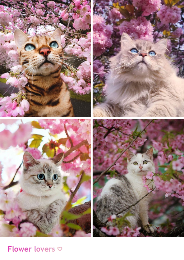 Flower lovers ♡