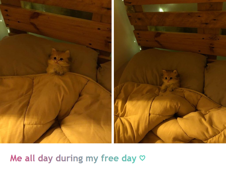 Me all day during my free day ♡