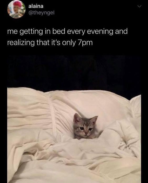 alaina @theyngel me getting in bed every evening and realizing that it's only 7pm