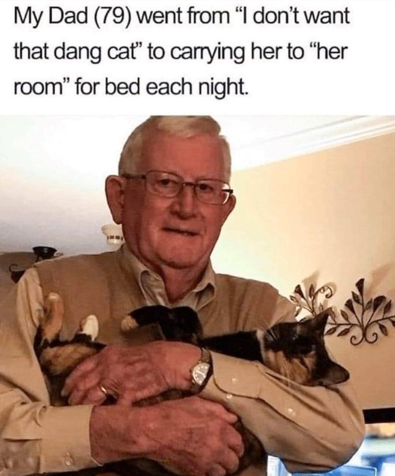 My Dad (79) went from "I don't want that dang cat' to carrying her to "her room" for bed each night.
