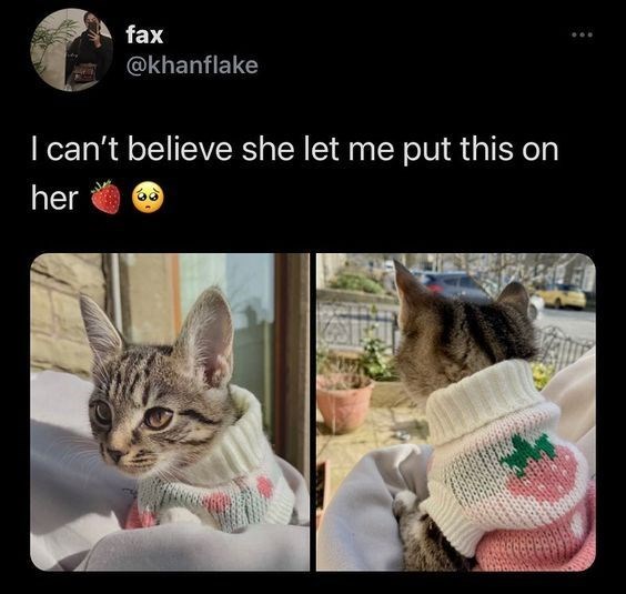 fax @khanflake I can't believe she let me put this on her