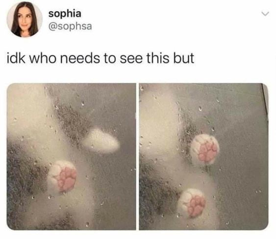 sophia @sophsa idk who needs to see this but >