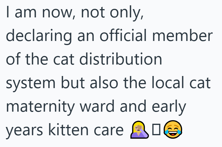 I am now, not only, declaring an official member of the cat distribution system but also the local cat maternity ward and early years kitten care C